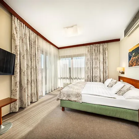 Hotel Wellness Happy Star Hnanice (Znojmo)