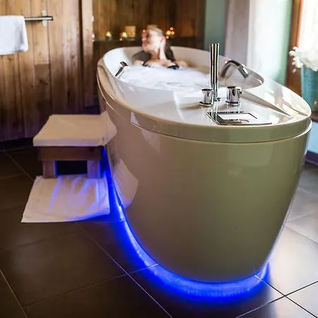 Wellness Happy Star 4* Hnanice