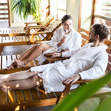 Wellness Happy Star Hnanice (Znojmo)